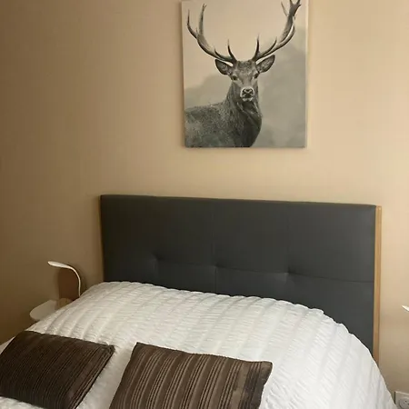 Appartement Les Balcons De L'arbizon *