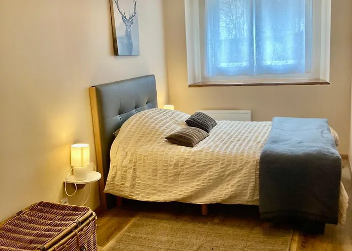 Les Balcons De L'arbizon アパート Guchen