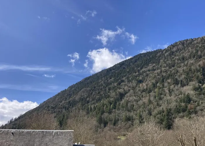 Les Balcons De L'arbizon アパート